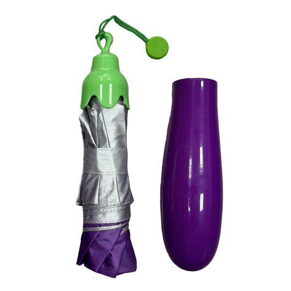 Didjits - Que Sirhan Sirhan (CD)