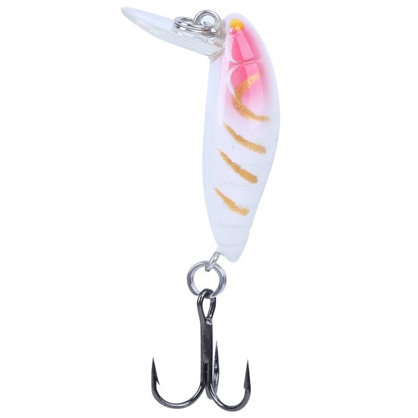 Floating Minnow Lure Fishing, ABS Eco-Friendly Bait