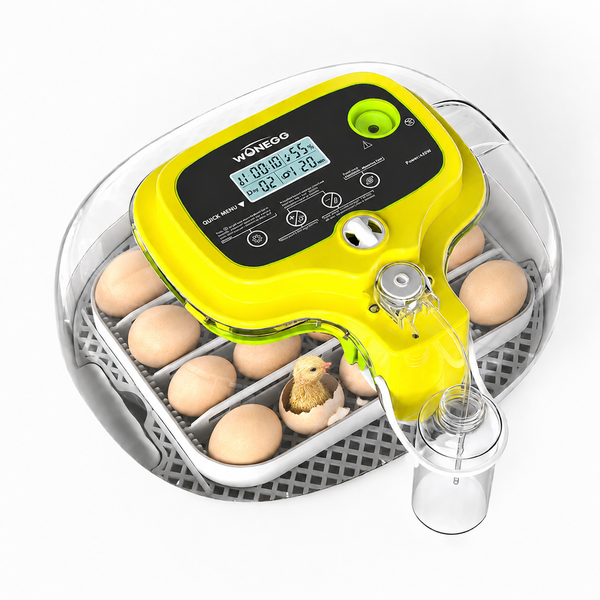 16 Eggs Automatic Digital Egg Incubator | Auto Turner, Auto Water Refill