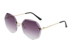 Tinted Lens Rimless Sunglasses