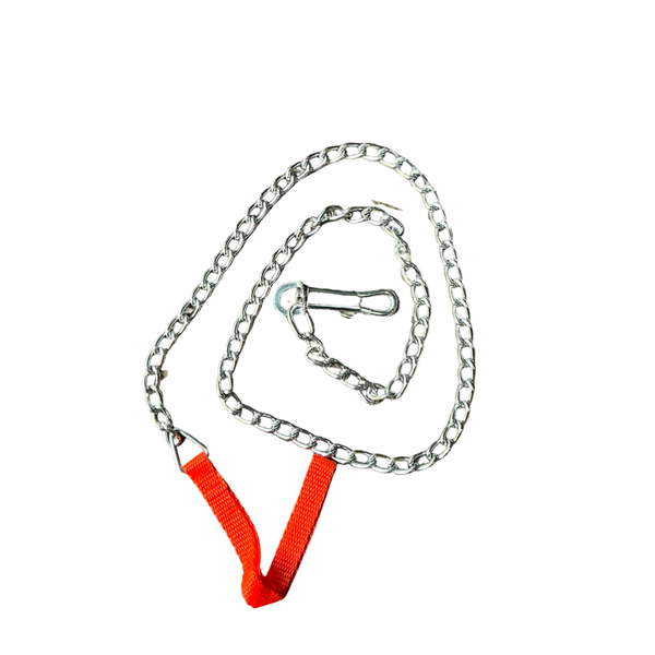 Chain Dog Lead