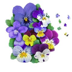 I Am Violet 350pc Jigsaw Puzzle by MADD CAPP |Challenging Random Cut Pieces