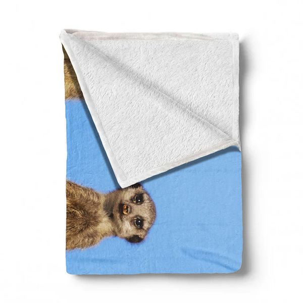Suricate Stokstert Meerkat Suricata Suricatta Light Weight Fleece Blanket By Fanie Heymans