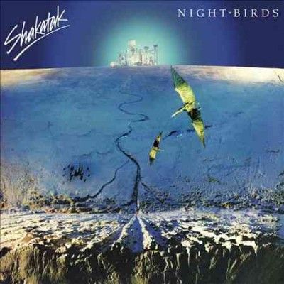 Night Birds (CD / Album)
