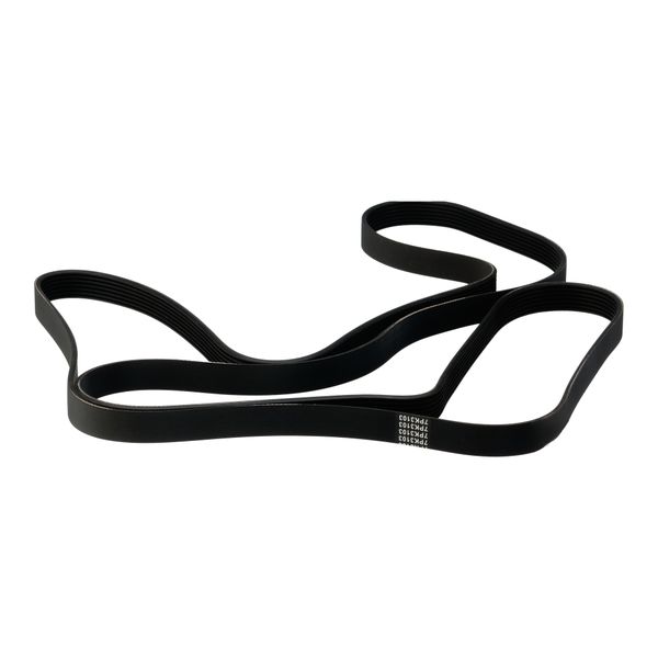 Dunlop Micro V Belt Replacement Compatible Ford Ranger 3.2 TDCi OEM Quality