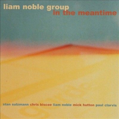 Liam Noble - In The Meantime (CD)