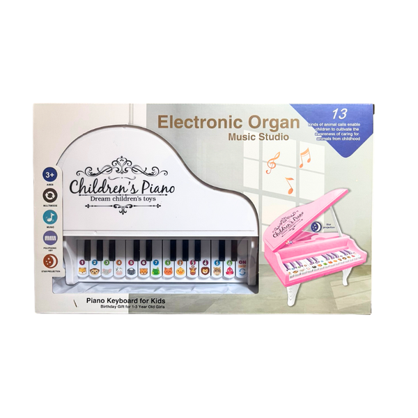 Kids Electronic Piano Keyboard - Musical Learning Toy