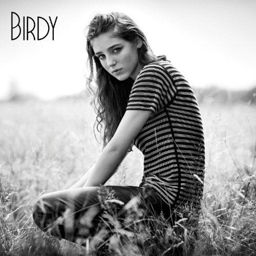 Fire Within (CD)