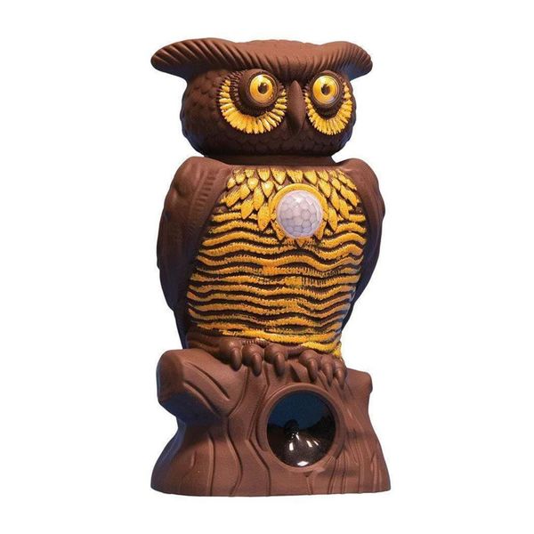 Owl Alert Pest Control