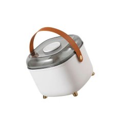 2 Tiers Medicine Container With Portable Handle DC-502