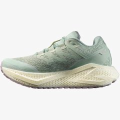 Salomon Women's Aero Glide 3 Gravel Running Shoes