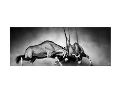 Gemsbok Full Desk XL Gaming &amp; Office Mouse Pad