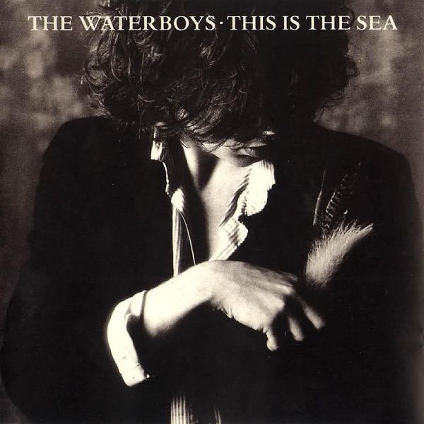 The Waterboys - This Is The Sea (Vinyl)