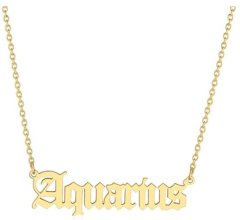 Aquarius Horoscope Birth Star Sign Zodiac Astrology Necklace Birthday Gift