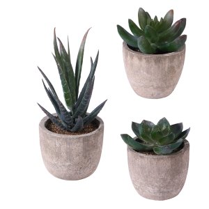 3Piece Artificial in Pots Arrangement Succulents decor for Home Office