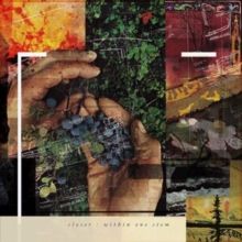 Within One Stem (Vinyl / 12" Album)