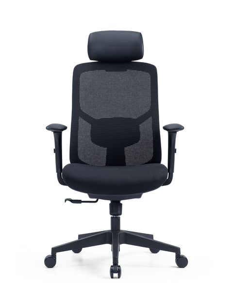 Ergo Essential Ergonomic Office Chair with headrest