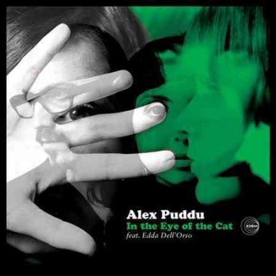 In the Eye of the Cat (CD / Album)