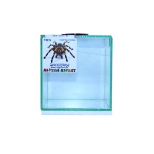 Reptile Resort T02G Glass Spider Enclosure 100x100x100mm