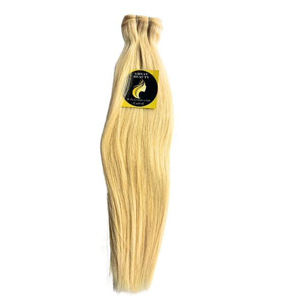 Hair Weave bundle Human hair Blonde 613 (Great Beauty)