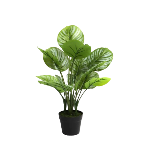 Home &amp; Office 70cm Decorative Apple Leaf Plant in Pot