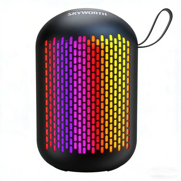 Skyworth BTS1 Portable Bluetooth Speaker with FM Radio Rechargeable