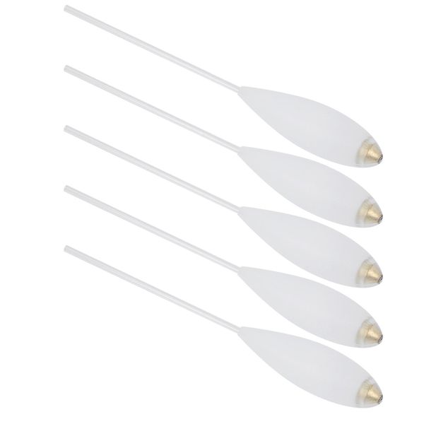 Fishing Floats 5pcs Acrylic Slow Sink 20g
