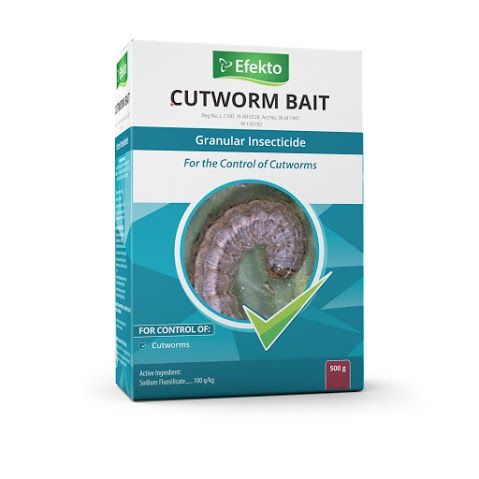 Efekto Cutworm Bait Insecticide 500g