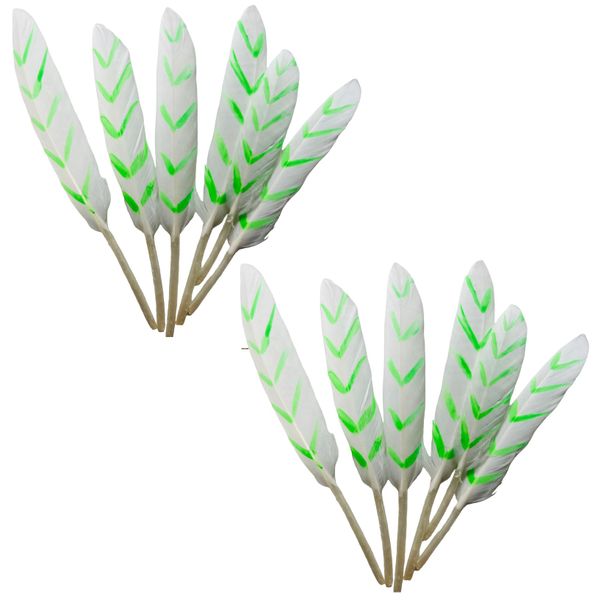 Arts &amp; Crafts Stripe Feathers - 14cm (12 Piece)