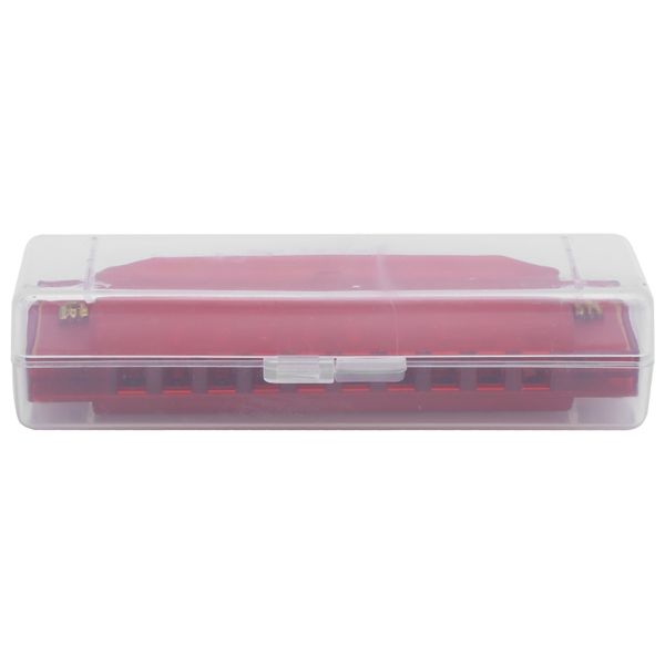10 Hole Harmonica Plastic Translucent for Kids, Musical Gift