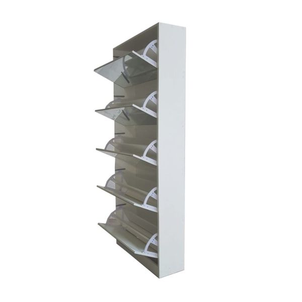 Fancy Shoe Cabinet