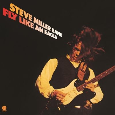 Fly Like an Eagle (Vinyl / 12" Album)