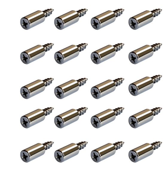 20 Piece - Screws With Shelf Support Pegs
