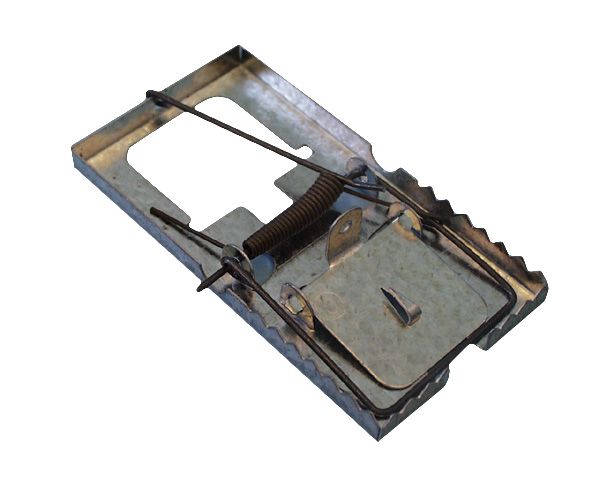 Mouse Trap - 5 Pack