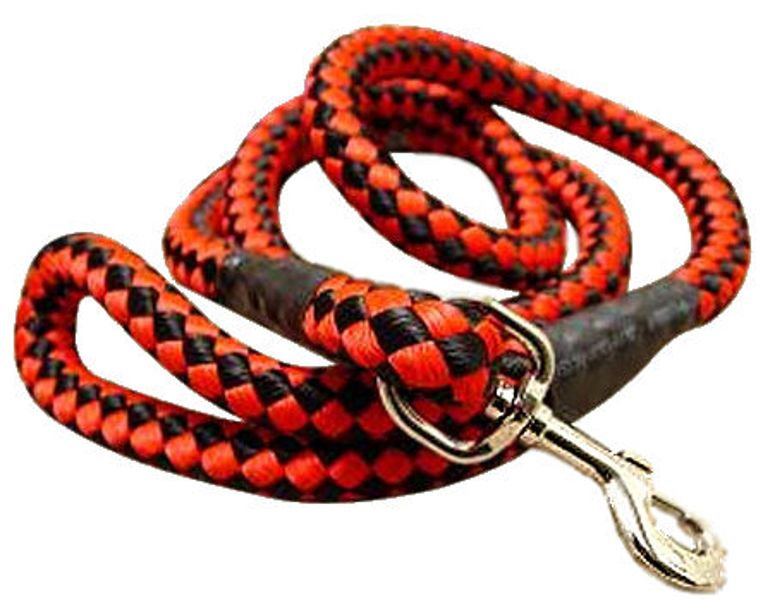 Classic Dog Leash / Lead – Heavy Duty, 1.8M Long, Thick Rope,