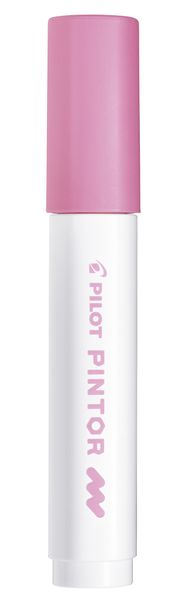 Pilot SW-PT Medium Point Paint Marker - Box of 6 - Pink