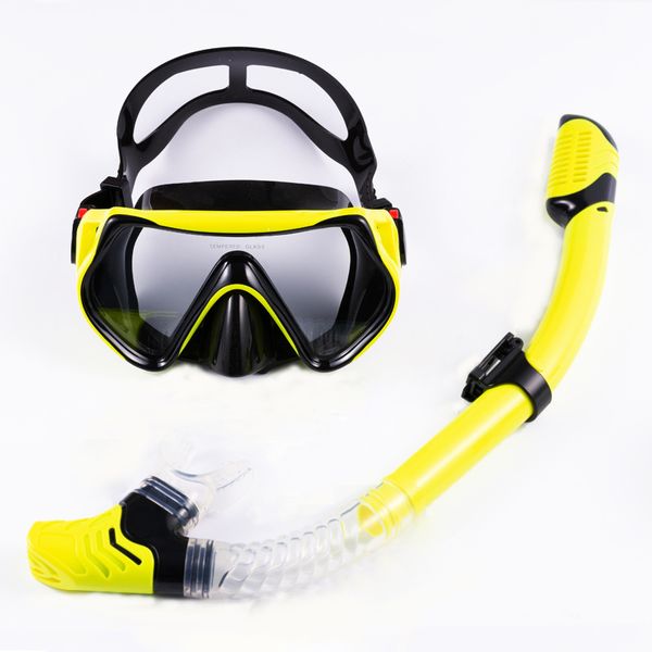 Snorkeling Adult Anti-Fog Diving Mask and Dry Snorkel Set