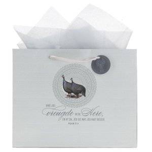 Large Landscape Gift Bag with Gift Tag - Vind Jou Vreugde in die Here
