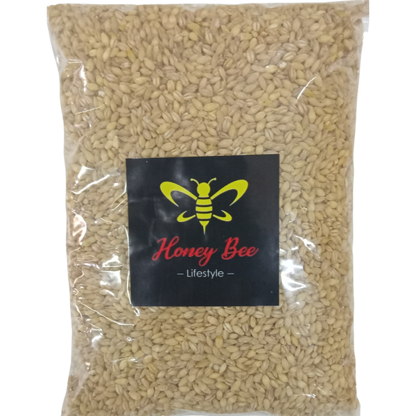 Barley Seeds 1kg - HBL
