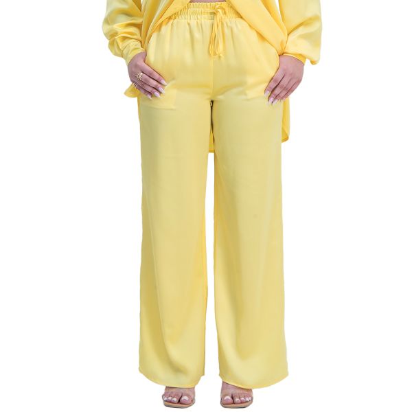 Women Satin Relaxed Pant Pants