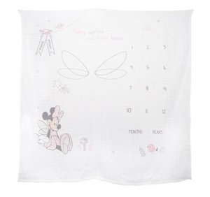 Minnie Mouse Milestone Blanket