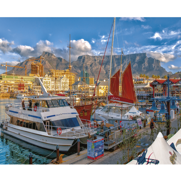 RGS Group CapeTown view 1000 piece jigsaw puzzle