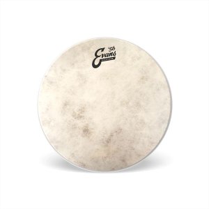 Evans 14” Calftone Drum Head