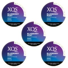XQS Nicotine Pouches - Blueberry Mint x 5