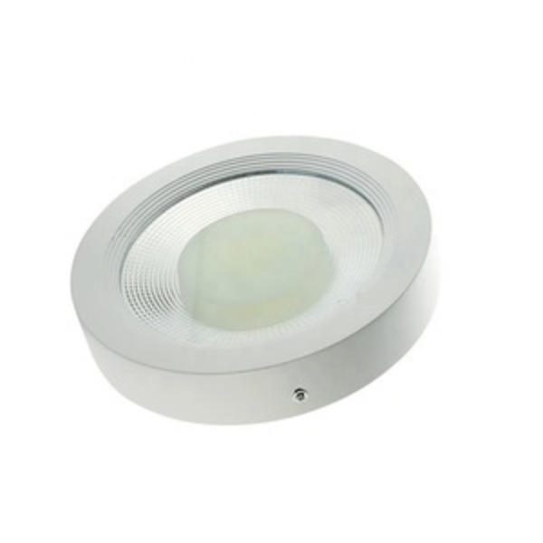 30w COB LED Ceiling Light
