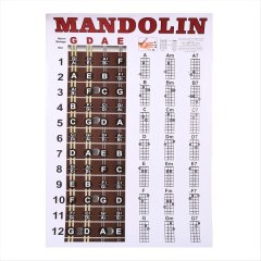 Mandolin Poster Chart Chord Musical Trainning Instrument Guide Chords Fretb