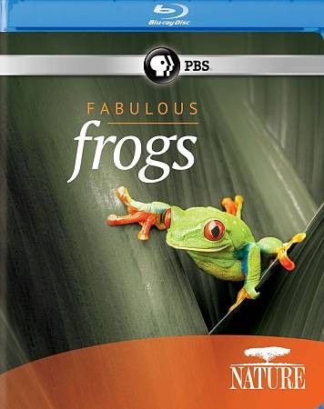 Nature:Fabulous Frogs - (Region A Import Blu-ray Disc)