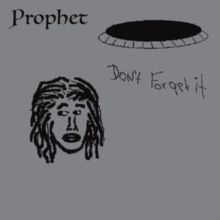 Don't Forget It (Vinyl / 12" Album)