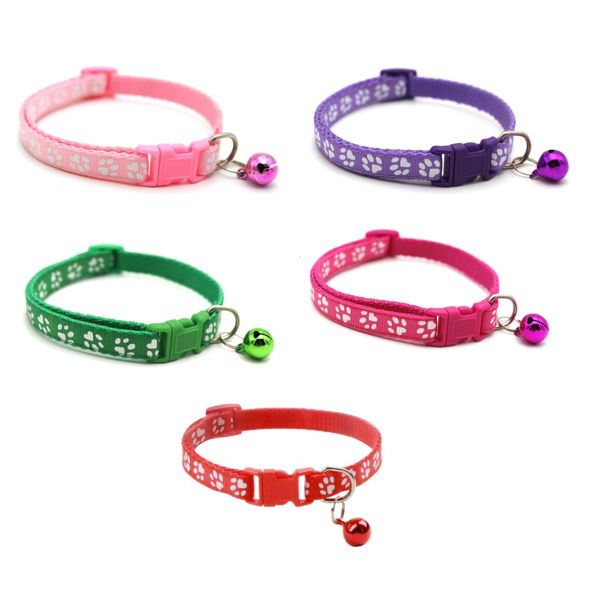 Pet Collars for Cats &amp; Dogs - Pack of 5