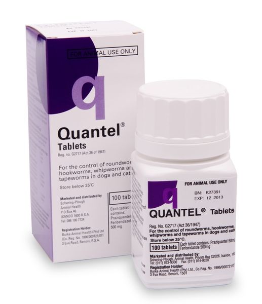 Quantel Deworming 100 tablets - For Cats &amp; Dogs